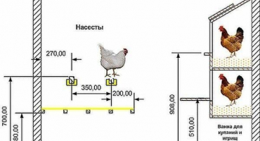 Jak postavit kurník pro 20 kuřat vlastními rukama, rozměry a výkresy
